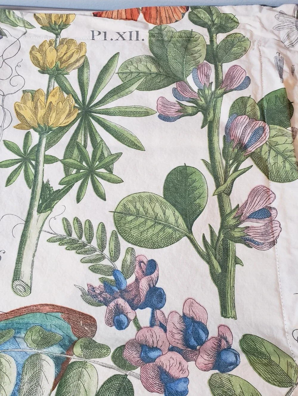 Pottery Barn Poppy Series European Pillow Sham Vintage Botanical Floral Latin
